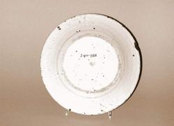 An image of Plate