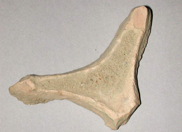 An image of Spur (accessory worn)