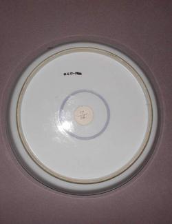 An image of Saucer dish