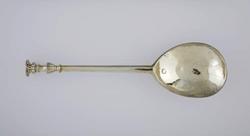 An image of Seal top spoon