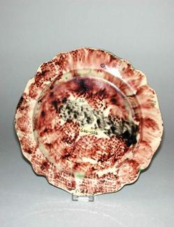 An image of Plate