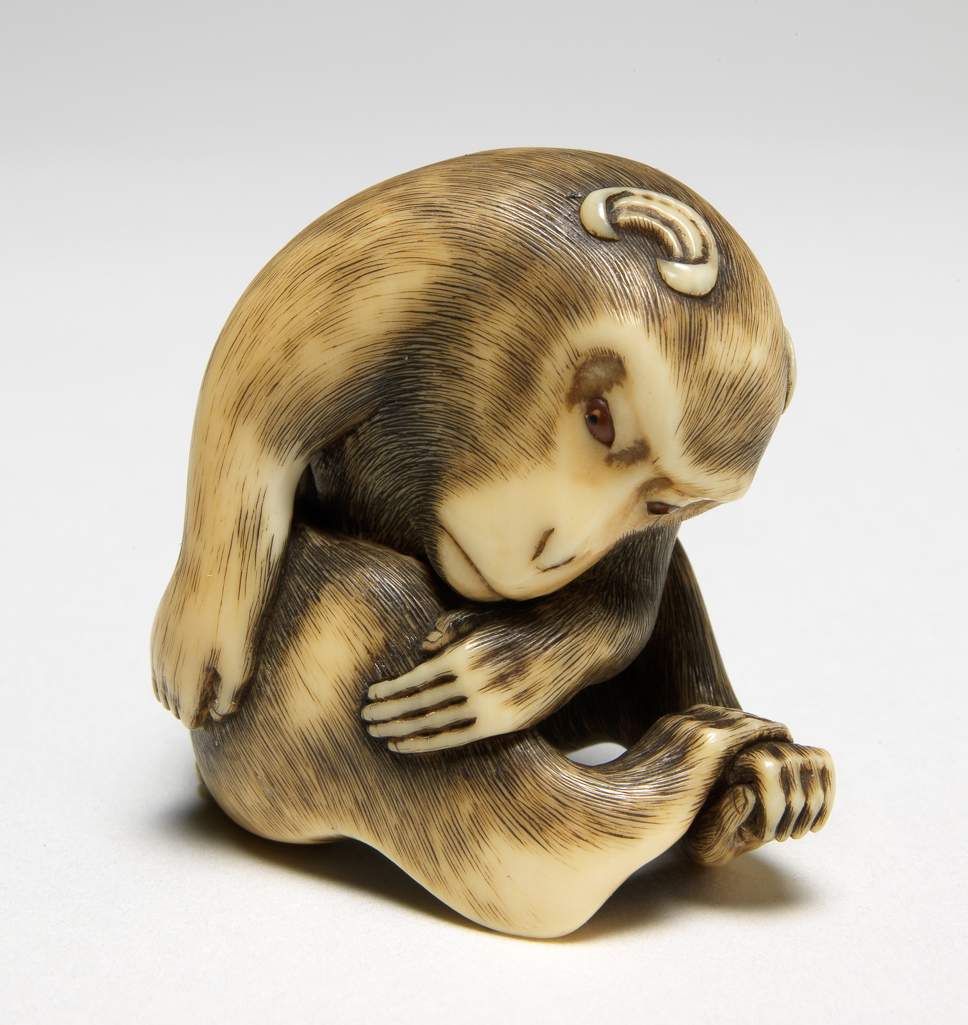 An image of Netsuke. A monkey resting; with eyes inlaid in a translucent brown material. Inscribed. Ivory, carved and stained, possibly amber eyes, height 4 cm. Japanese.