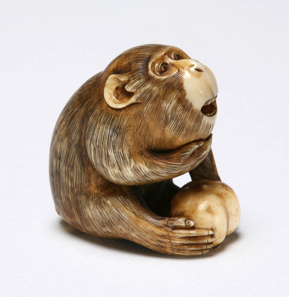 An image of Netsuke. A seated male monkey holding a large persimmon, its eyes are inlaid with glass. Unknown carver, Japan. Ivory, carved, 1870-1900.