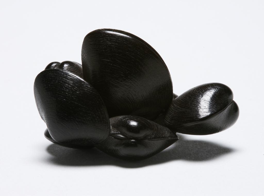 An image of Netsuke/ katabori. Group of seven sea mussels. Masanao, Yamada School (Japanese). A group of seven sea mussels of varying sizes clustered together; the arrangement forming a natural himotoshi. Ebony, carved, height, whole, 2.5 cm, width, whole, 3.9 cm, circa 1800-1868. Edo Period (1615-1868). Japanese.