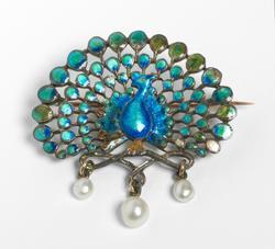 An image of Peacock brooch