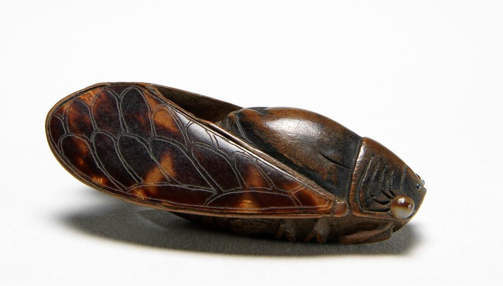 An image of Netsuke. A cicada with folded wings. Wood, tortoise shell, mother-of-pearl, height 5 cm. Japanese.