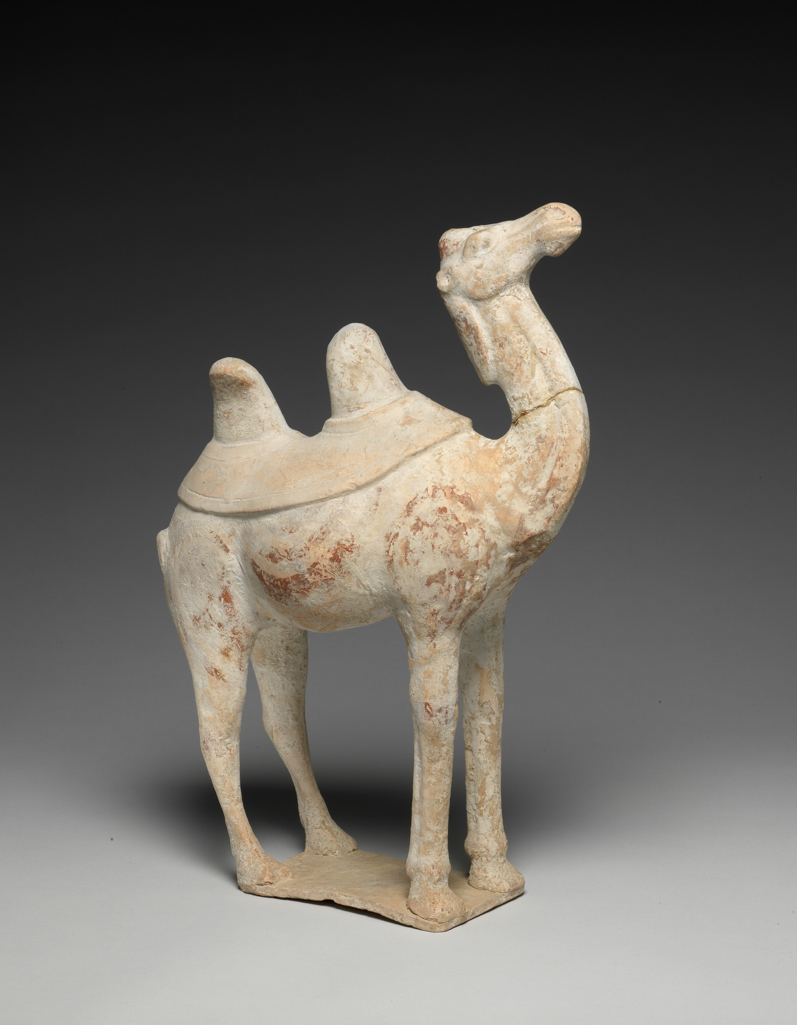 An image of Bactrian camel. Unknown maker, China. Its thick padded feet stand on a small rectangular base, and a felt saddle blanket surrounds its double humps. On its tail is a touch of lead glaze. Unglazed, moulded white earthenware covered in white slip, with traces of black, white and red paint, height, 38.1 cm, circa 618-906. Tang Dynasty (618-907).