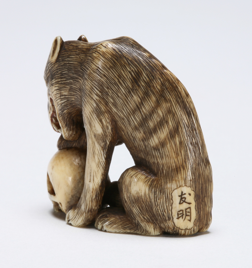 An image of Netsuke. Tomoaki, Japan. A wolf eating a skull. The inside of the wolf's mouth is stained red. Ivory, carved and stained, height 3 cm, width 3.5 cm. Japanese.