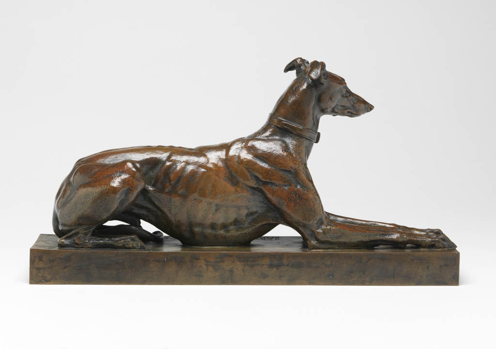 An image of An Algerian Greyhound, couched. Barye, Antoine Louis (French, 1796-1875). Bronze. Sir Ivor and Lady Batchelor Bequest.