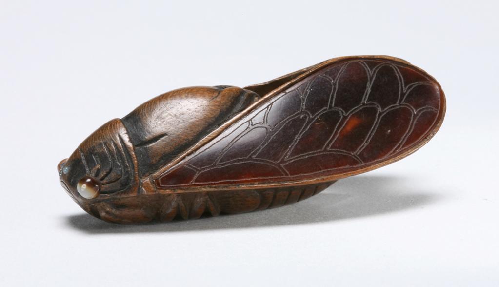 An image of Netsuke. A cicada with folded wings. Wood, tortoise shell, mother-of-pearl, height 5 cm. Japanese.