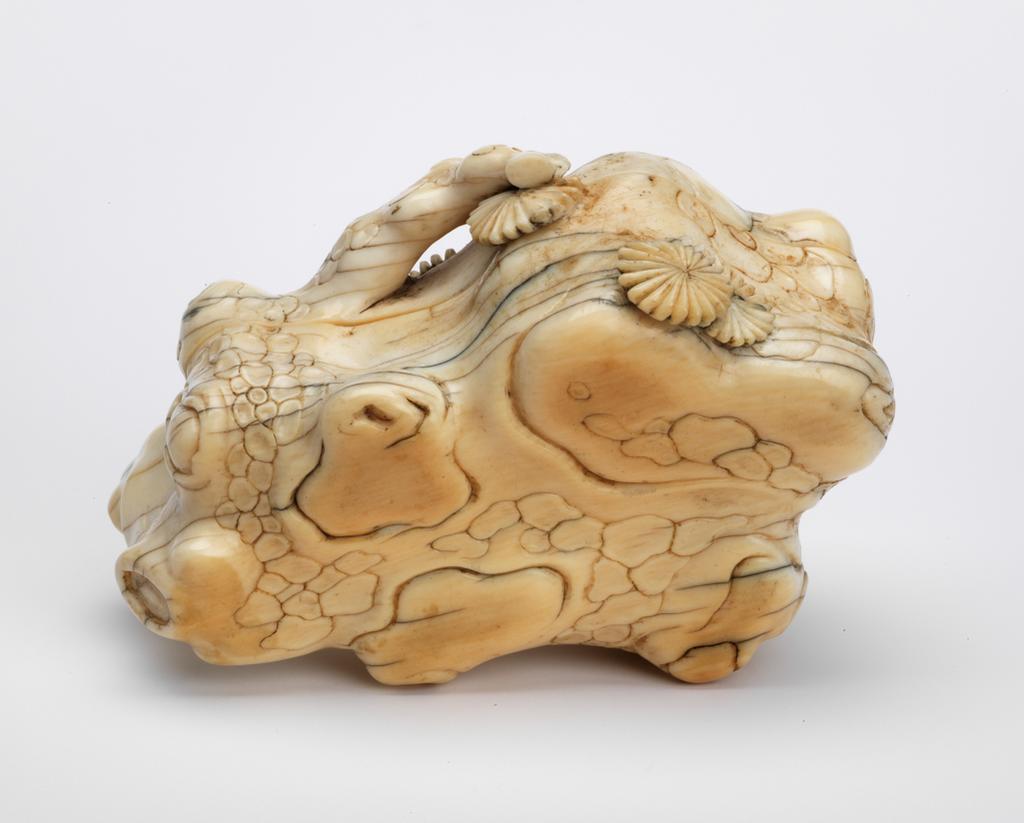 An image of Box for seal paste. Formed as a pine tree on a rock. Production Place: China. Carved ivory. 18th century. Sir Victor Sassoon Chinese Ivories Trust.