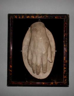An image of Hand (limb)