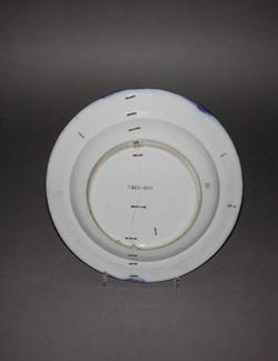 An image of Dish