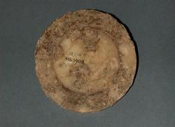 An image of Vessel lid