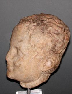 An image of Head