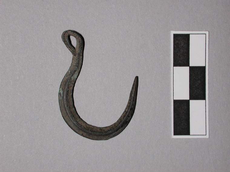 An image of Fish hook, perhaps