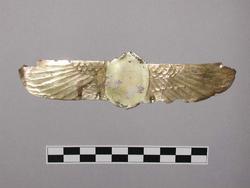 An image of Pectoral fragment, perehaps