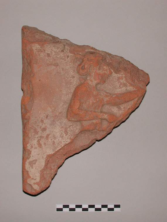 An image of Sima fragment