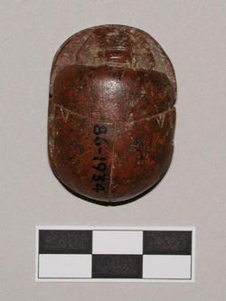 An image of Commemorative scarab