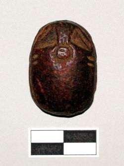 An image of Scarab