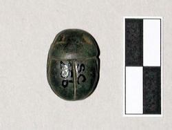 An image of Scarab