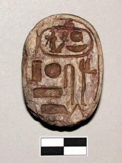 An image of Scarab