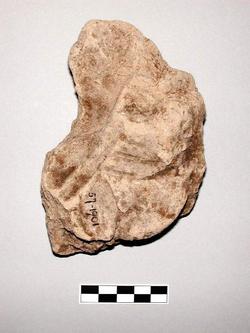 An image of Seal impression