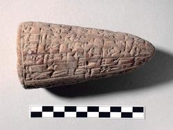 An image of Inscribed cone