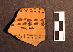 An image of Sherd