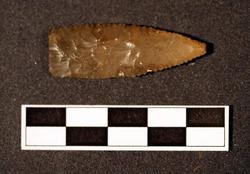 An image of Flint arrowhead