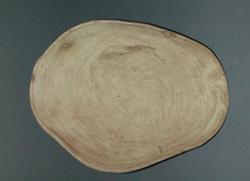 An image of Bowl