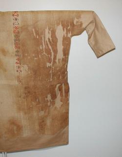An image of Tunic
