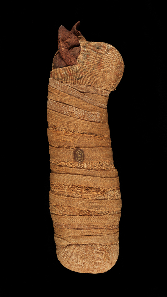 An image of Cat mummy. A CT Scan of this mummy reveals a kitten that was only a few days old when it died. Unlike many examples, there is no indication as to how it died. Find Spot: Beni Hasan, Egypt. Height 24cm. 664-525 B.C. 26th Dynasty, Late Period.