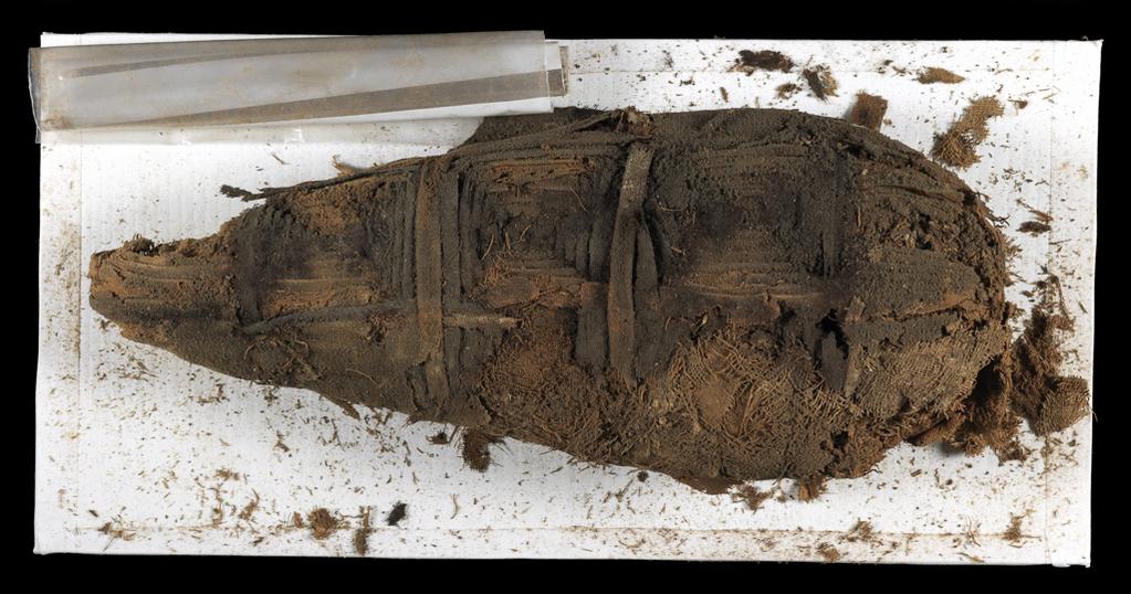 An image of Organic Remains / Bird Mummy. Mummy of ibis, elaborate bandaging, height 0.33 m. Production Place: Egypt. Find Spot: Abydos (?) Egypt.