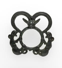 An image of Harness-ring