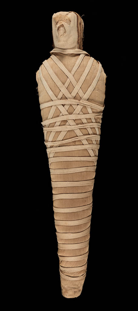 An image of Mummified Falcon. Find Spot: Falcon Galleries, Saqqara, Egypt. Length 44.5 cm. 332-30 B.C. Ptolemaic Period.