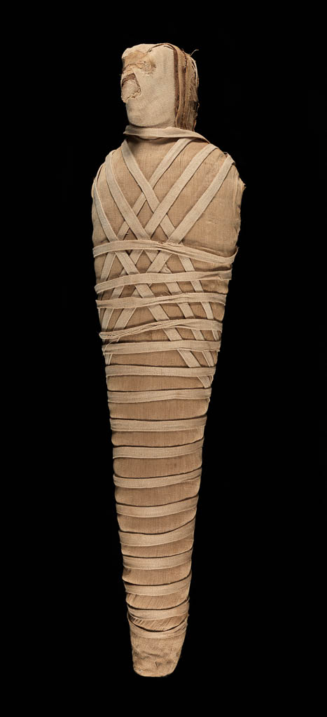 An image of Mummified Falcon. Find Spot: Falcon Galleries, Saqqara, Egypt. Length 44.5 cm. 332-30 B.C. Ptolemaic Period.