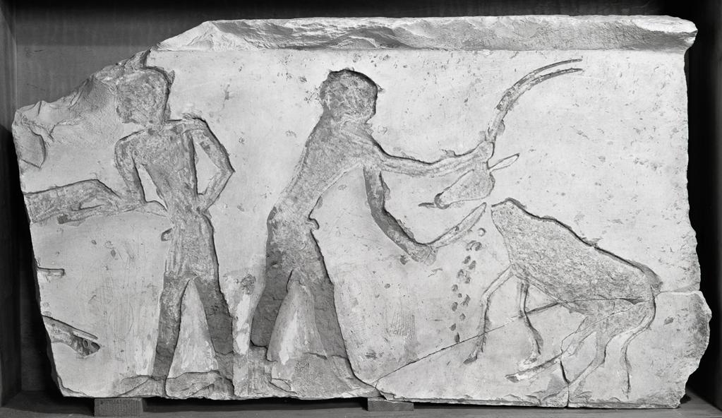 An image of Architectural Element. Wall Block. Fragment from tomb chapel, showing sacrifice of oryx. Limestone relief, painted, length 63 cm, width 120 cm, 2686-2498 B.C. Egyptian, Fourth Dynasty. Old Kingdom.