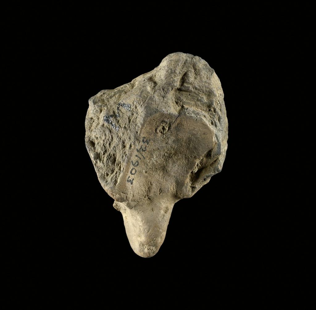 An image of Animal (?) head, unidentified. Find Spot/Production: Egypt, Abydos. Height 0.025 m, length 0.06 m.
