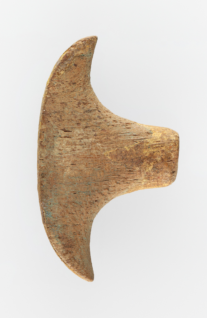An image of Figure. Statue fragment. Staff top, in form of papyrus, from statue. Production Place: Egypt. Wood, height 0.018 m, length 0.006 m, width 0.031 m.