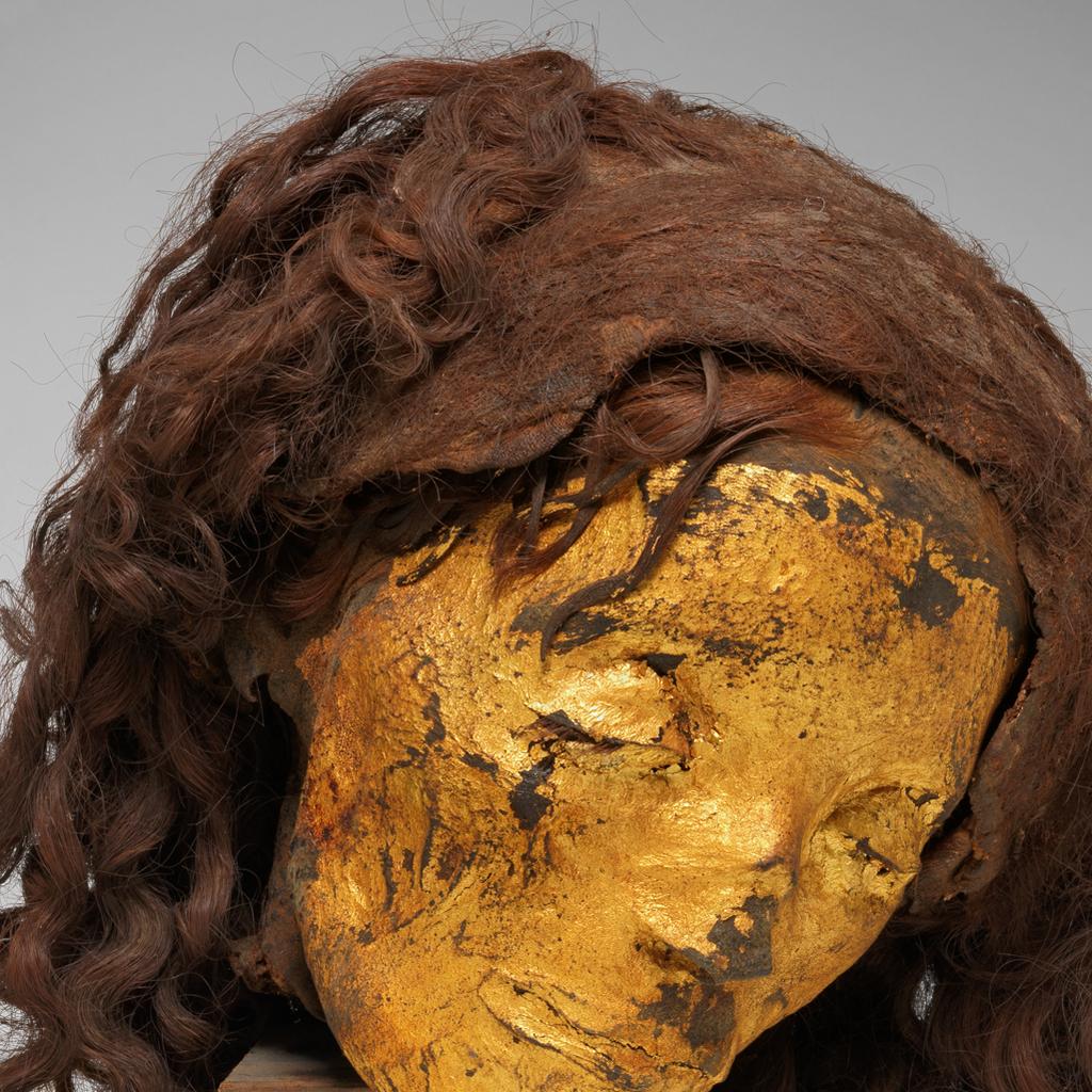 An image of Organic remains. Human mummy. Female head, mummified, with gilded skin, with wig (hair length 0.320 m). Production Place/Find Spot: Egypt. Depth 0.21 m, height 0.22 m, width 0.19 m.