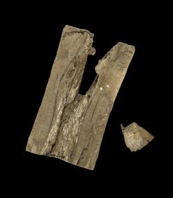 An image of Coffin fragment
