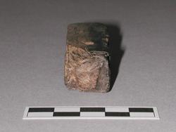 An image of Rod fragment