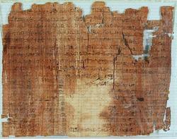 An image of Papyrus