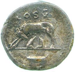 An image of Denarius