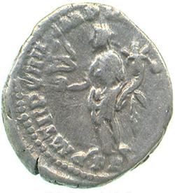 An image of Denarius