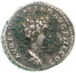 An image of Denarius