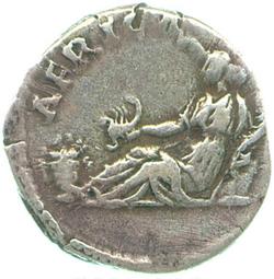 An image of Denarius