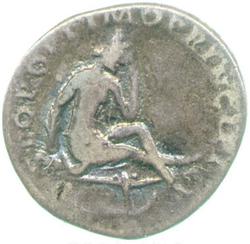 An image of Denarius