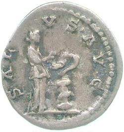 An image of Denarius